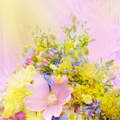 Цветы, растения - 00066